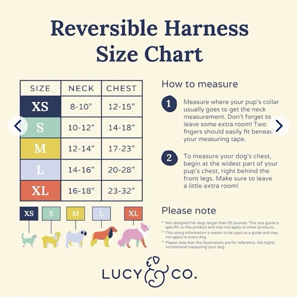 Lucy & Co. Reversible Dog Harnesses – Size Medium (Set of 2) - Picture 5 of 5